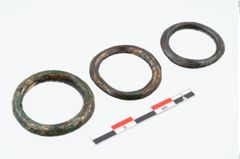 Foto von Bronzering (NHMW-PRAE-025421)